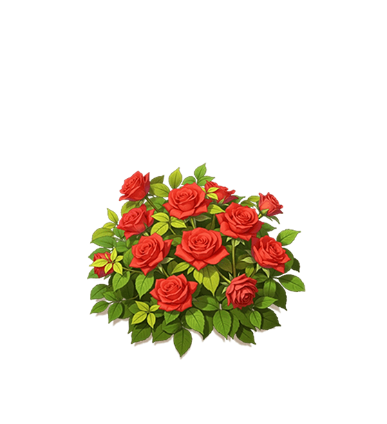 Red Rose