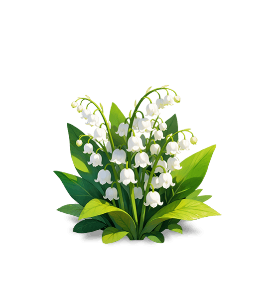 White Lily of the Valley