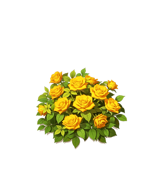 Yellow Rose