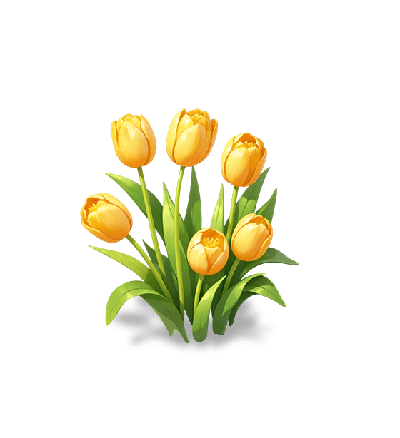 Yellow Tulip