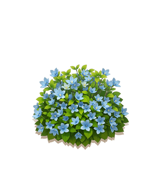 Blue Star Flower