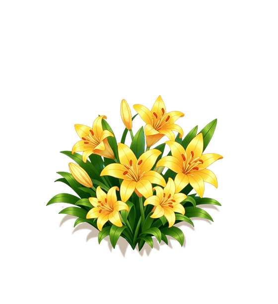 Yellow Lily