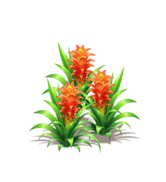 Red Pineapple Flower