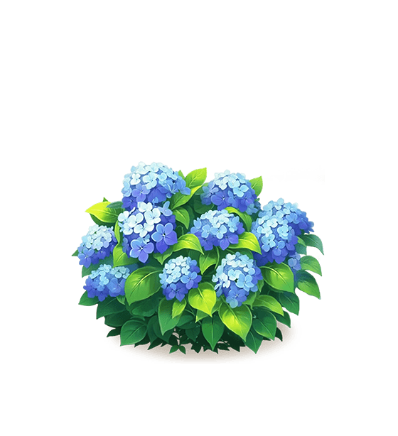 Blue Hydrangea