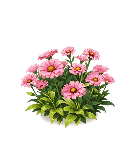 Pink Gerbera Daisy