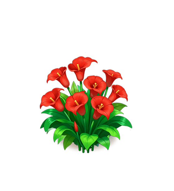 Red Calla Lily