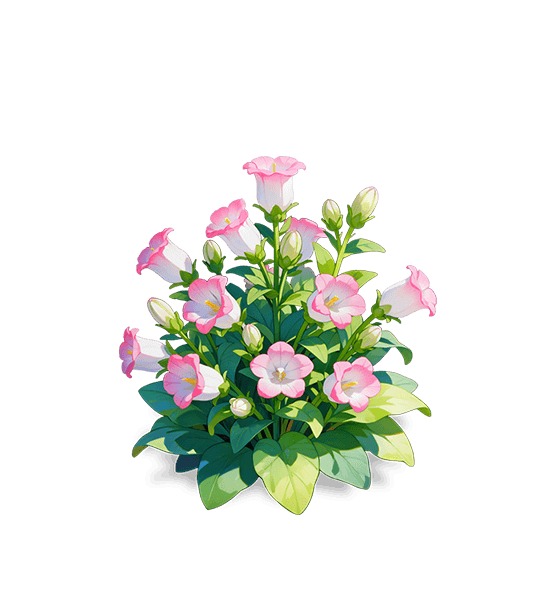 Peach Windbell Flower