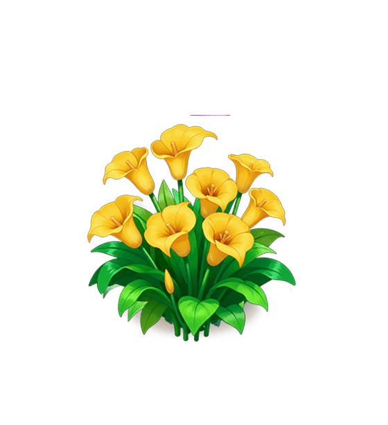 Yellow Calla Lily