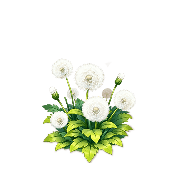 Dandelion