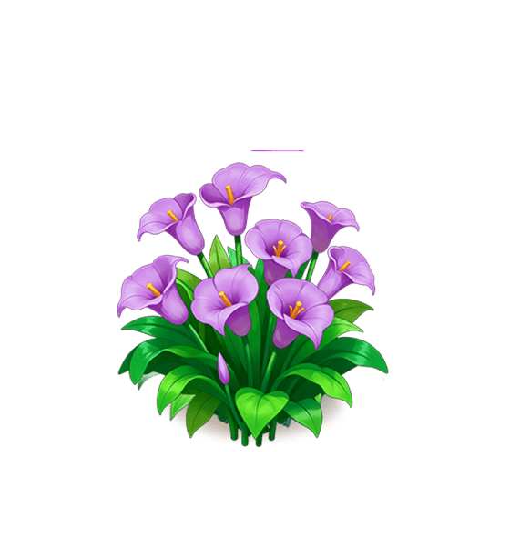 Zantedeschia aethiopica