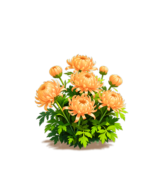 Orange Spoon Chrysanthemum