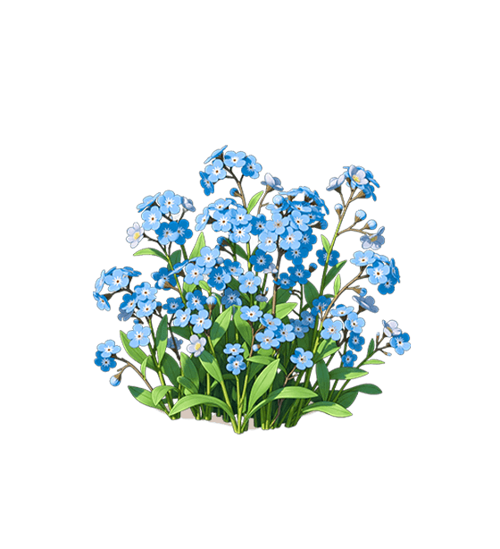 Blue Forget-Me-Not