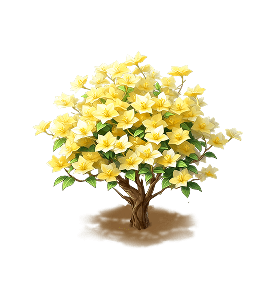 Yellow Bougainvillea
