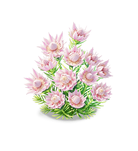 Mariée pudique Brume rose