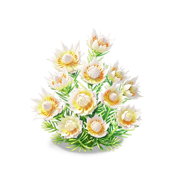 Mariée pudique Voile nuageux