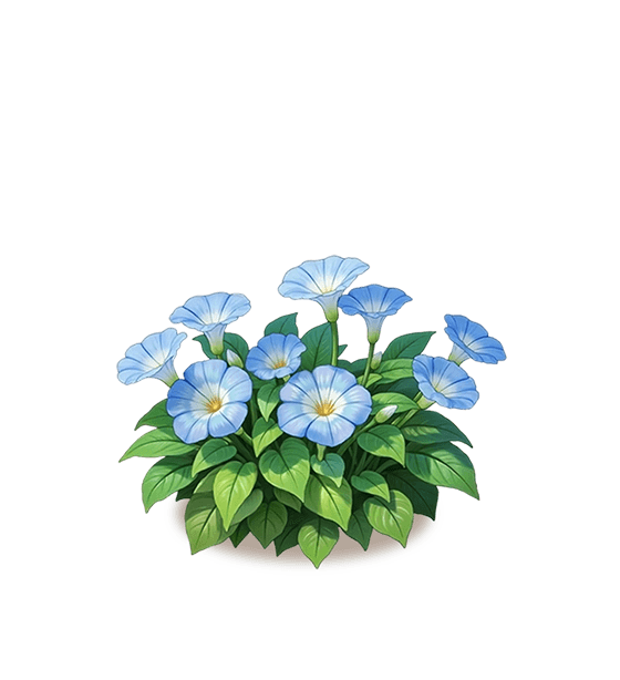 Sky Blue Petunia