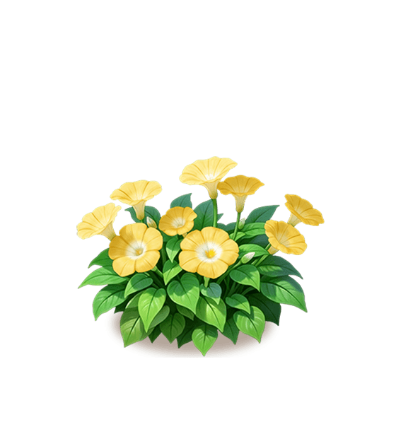 Yellow Petunia