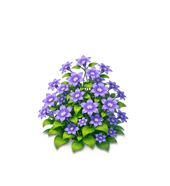 Purple Clematis