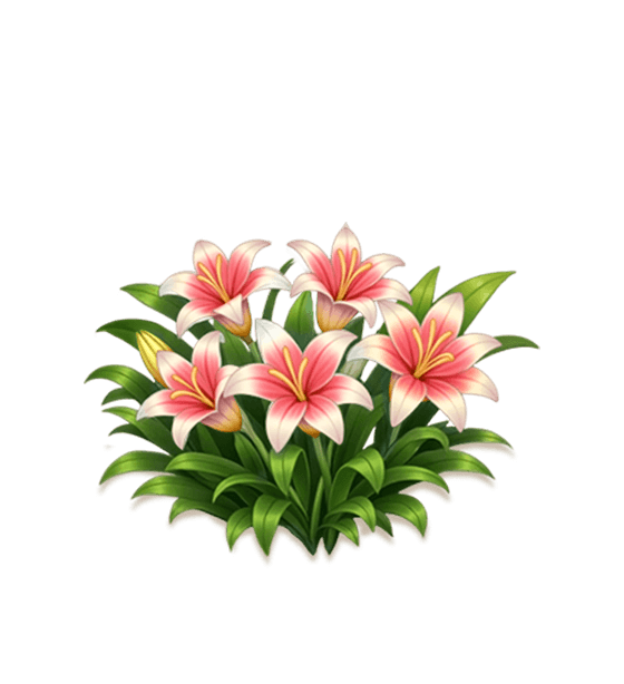 Perfume Lily