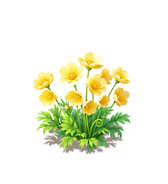 Yellow Himalayan Poppy