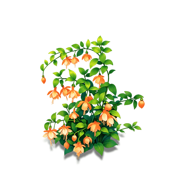 Orange Fairy-Lantern