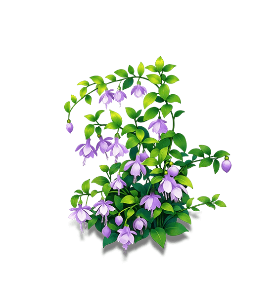 Purple Fairy-Lantern