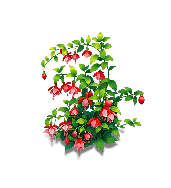 Redvein Enkianthus