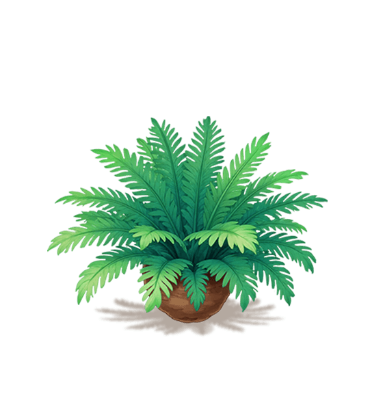 Green Cycad