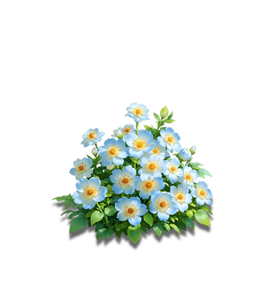 Blue Halcyon Tree Peony