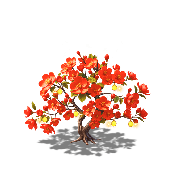 Orange Begonia