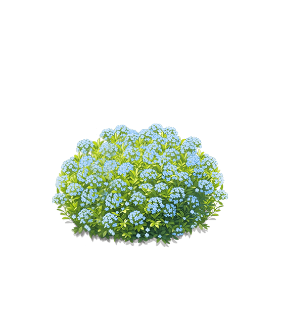 Blue Baby's Breath