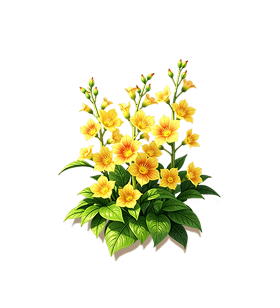 Golden Yellow Hollyhock