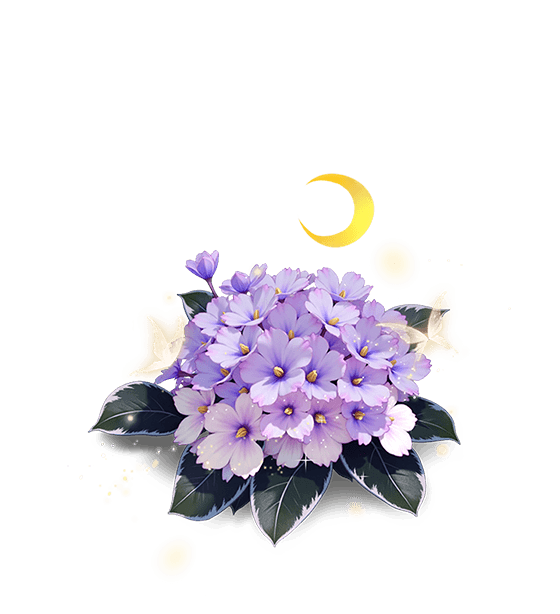 Light Purple African Violet