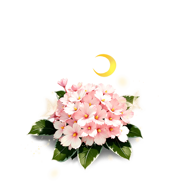 Light Pink African Violet