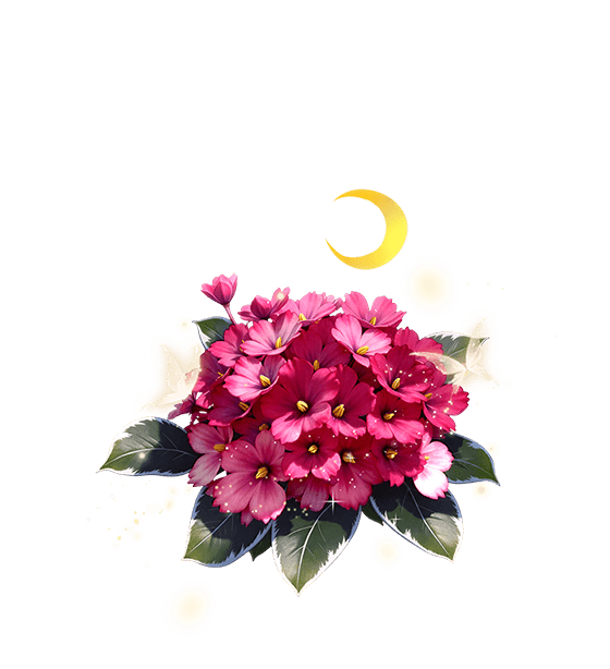 Dark Red African Violet