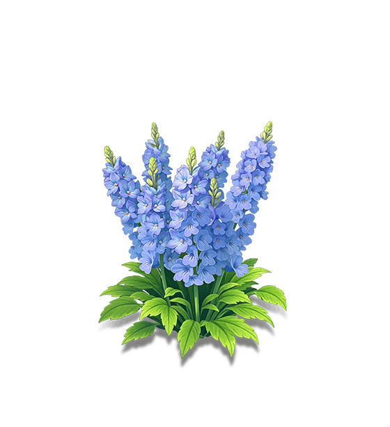 Blue Larkspur