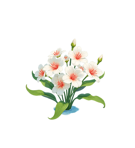 Fleur de mer rouge