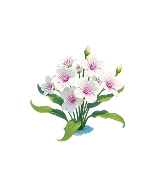 Fleur de mer violette