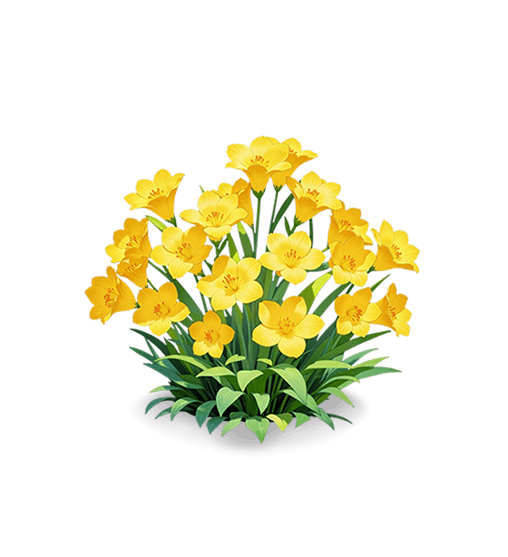 Freesia parfumé jaune