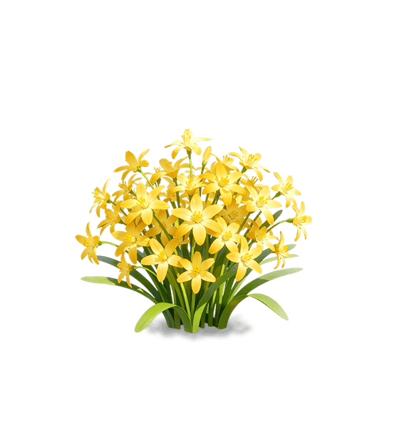 Gloire des neiges jaune