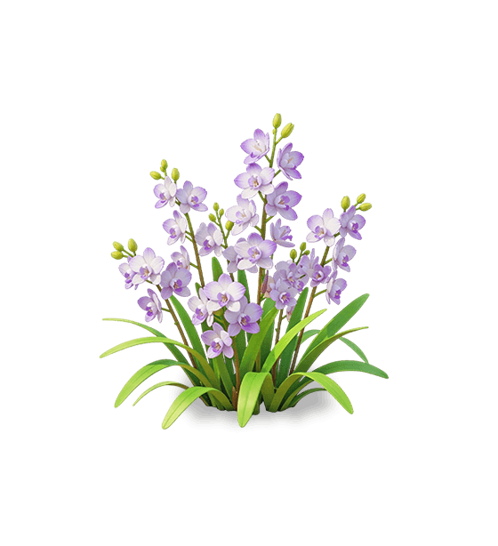 Oreorchis violet