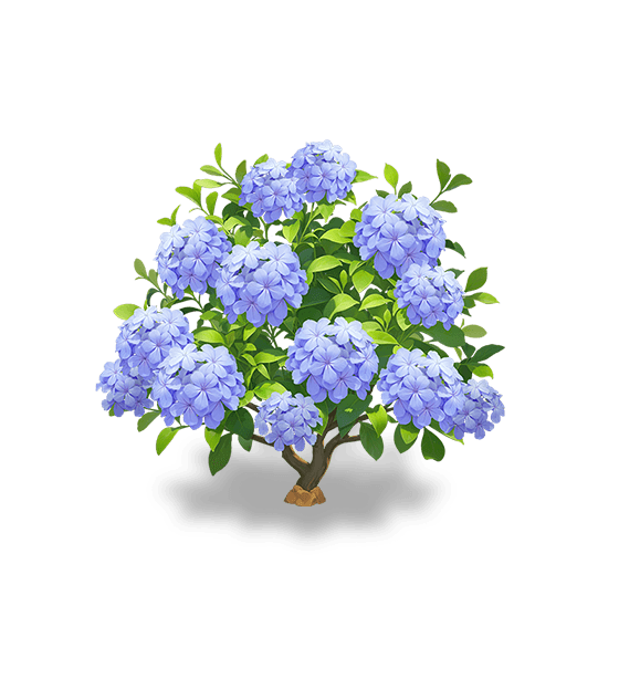 Plumbago indigo