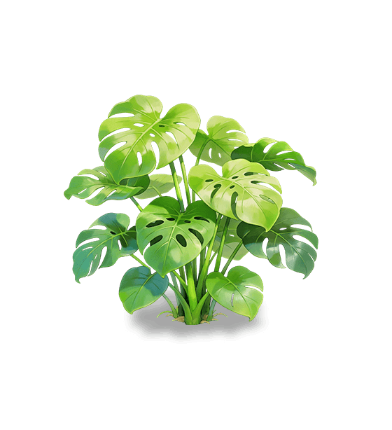 Monstera
