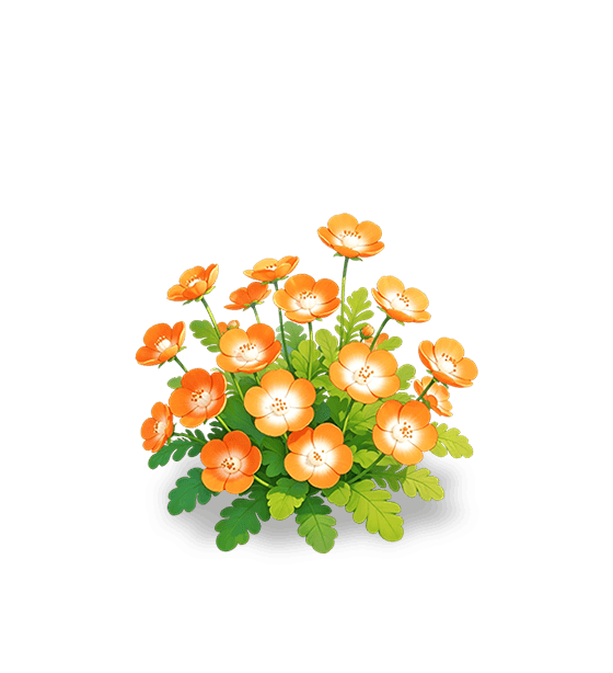 Némophile ambrée