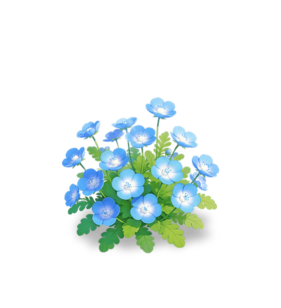 Némophile bleue