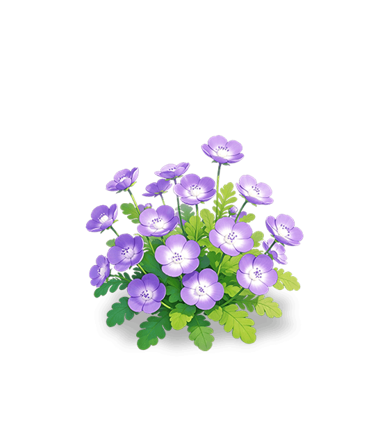 Némophile violette