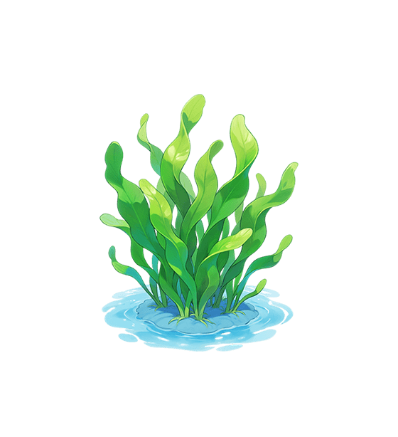 Herbe marine verte ondoyante