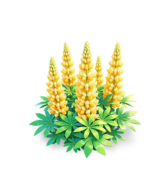 Lupin or ensoleillé