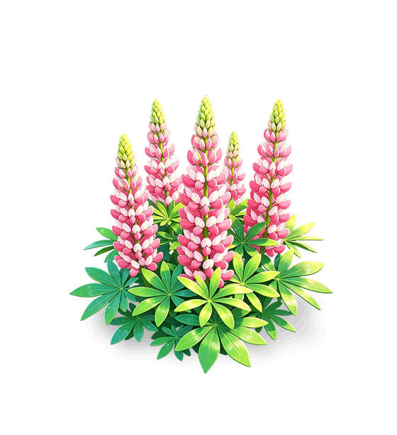 Lupin rouge ardent