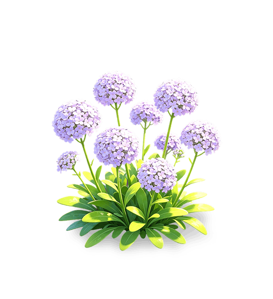 Alysson odorant brume violette